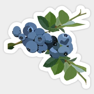 Blueberries Sticker